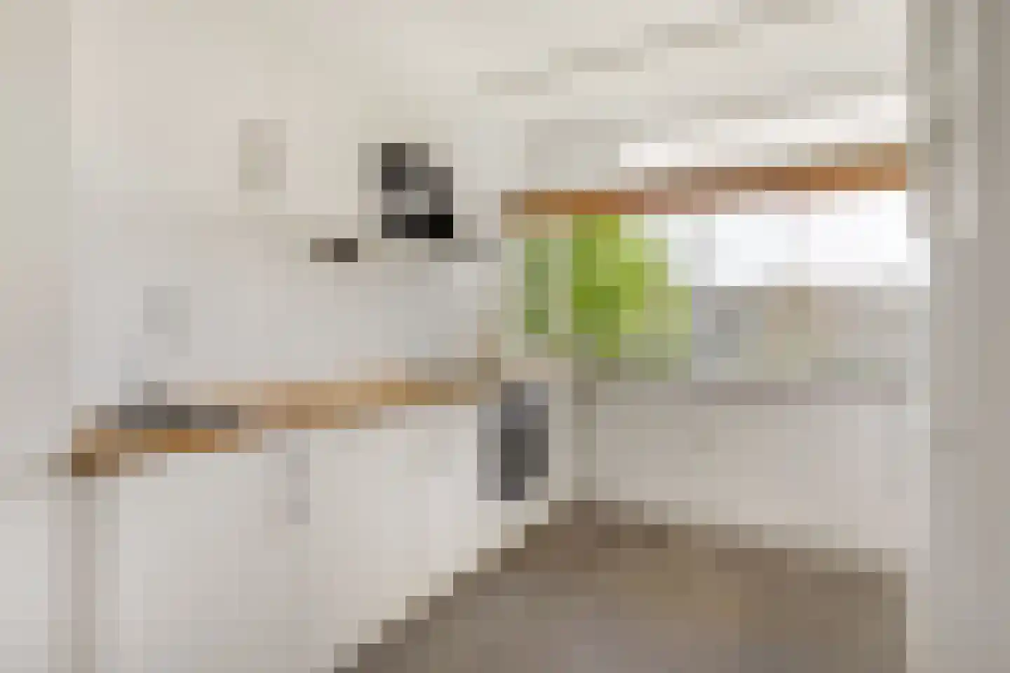 Engelandlaan 666 Haarlem thumbnail 9