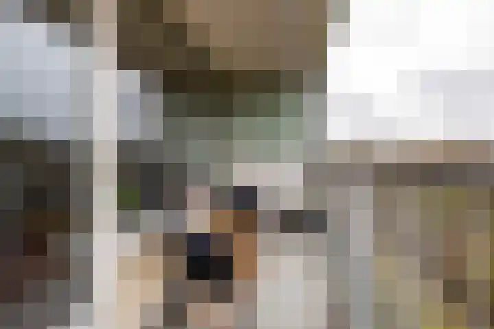 Engelandlaan 760 Haarlem thumbnail 18