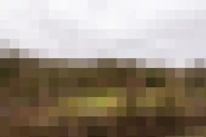 Engelandlaan 760 Haarlem thumbnail 21