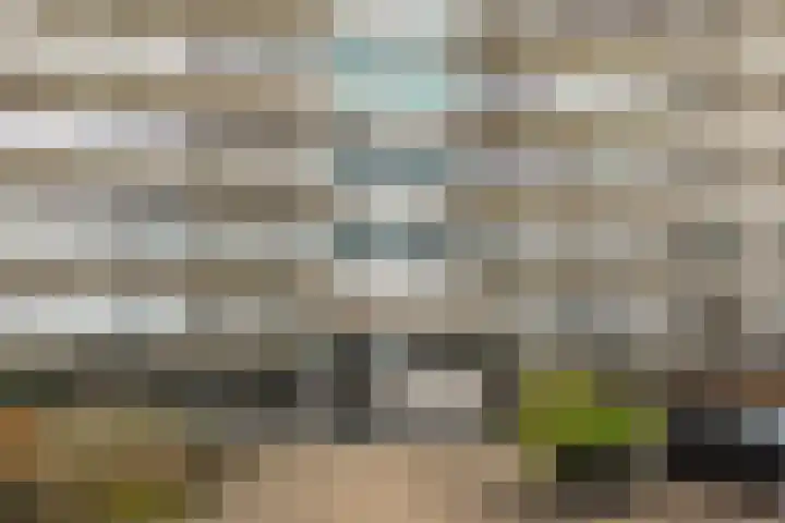 Engelandlaan 760 Haarlem thumbnail 22