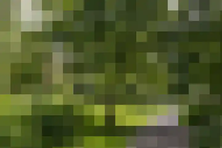 Engelandlaan 760 Haarlem thumbnail 26