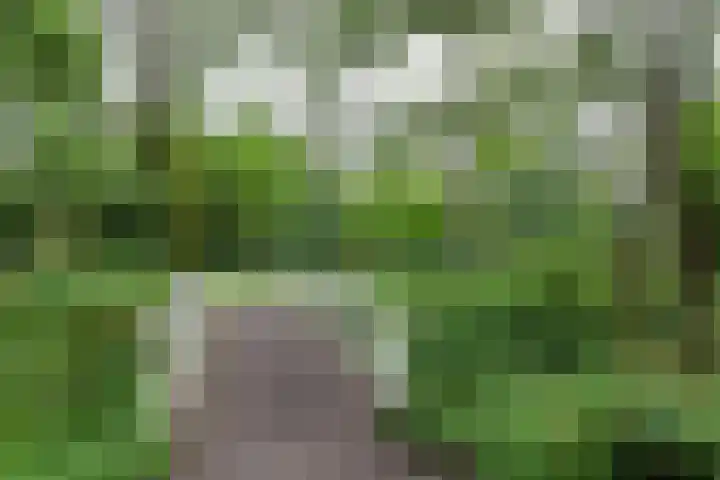 Engelandlaan 760 Haarlem thumbnail 27
