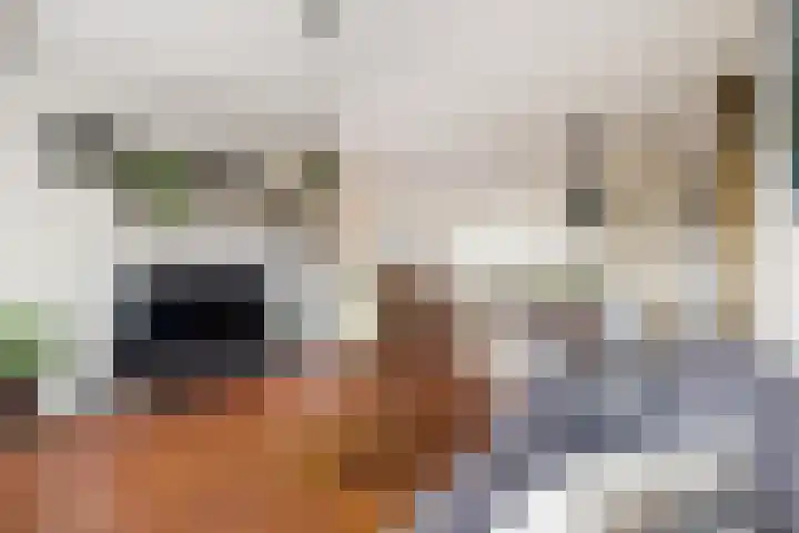 Engelandlaan 760 Haarlem thumbnail 5