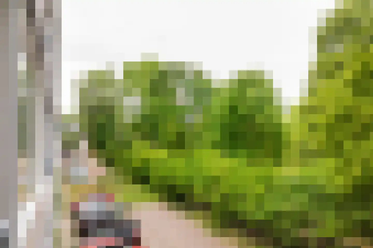 Engelandlaan 78 Haarlem thumbnail 21