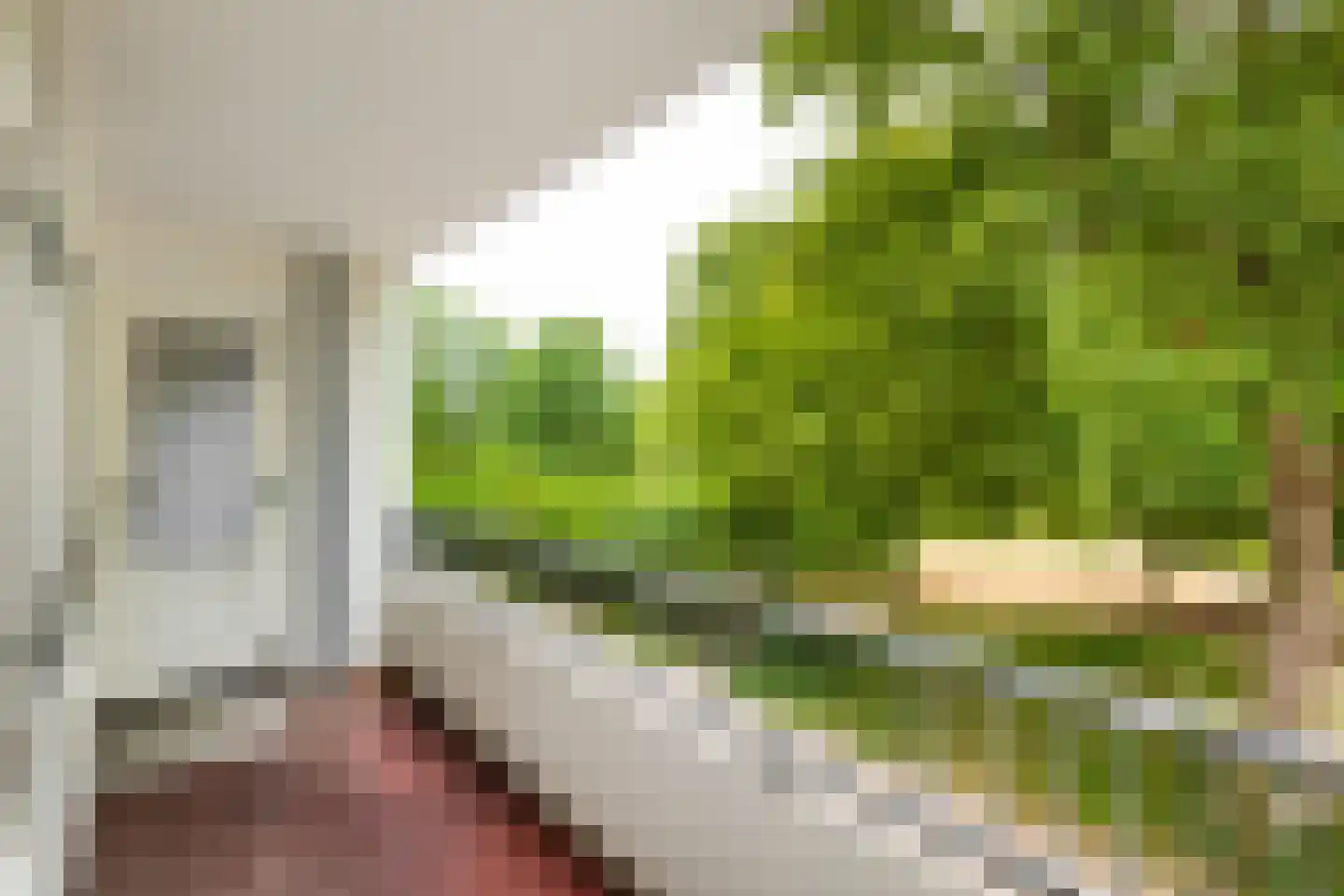 Engelandlaan 78 Haarlem thumbnail 6