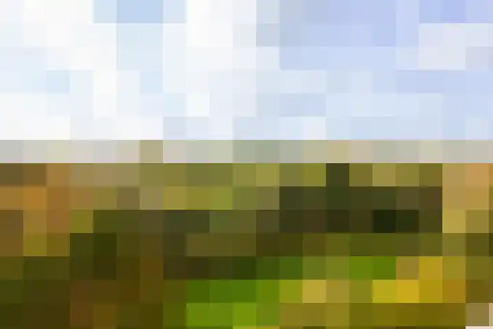Engelandlaan 844 Haarlem thumbnail 27