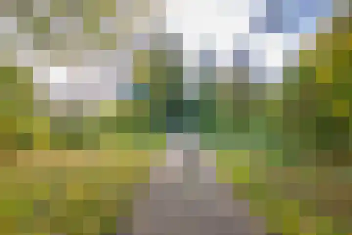 Engelandlaan 844 Haarlem thumbnail 30