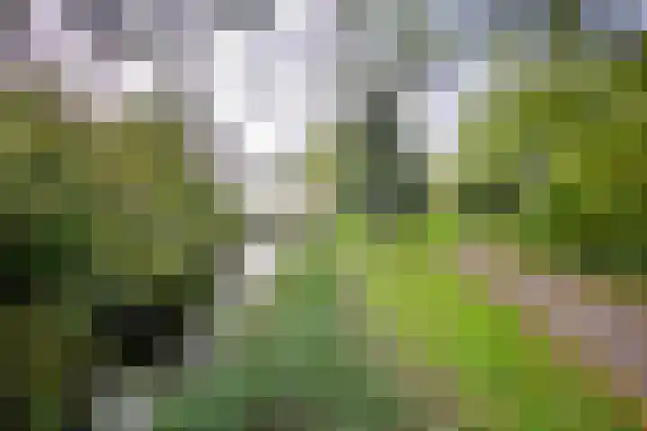 Engelandlaan 844 Haarlem thumbnail 32