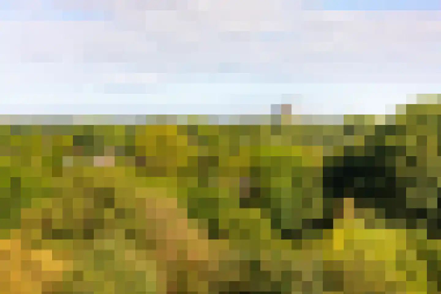 Engelandlaan 866 Haarlem thumbnail 18