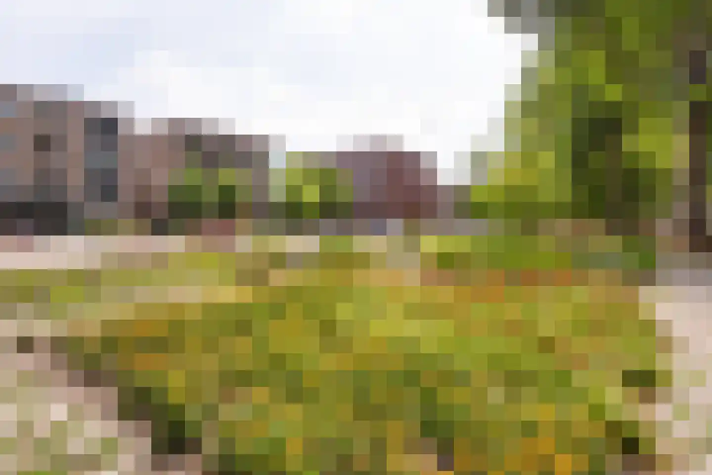 Engelandlaan 866 Haarlem thumbnail 24