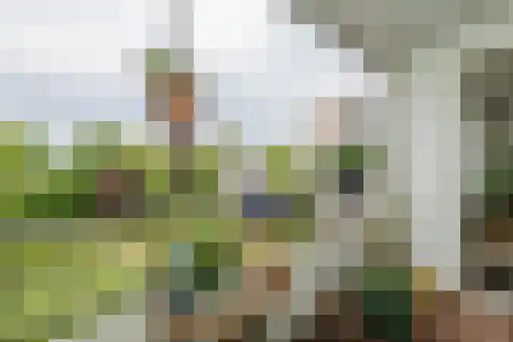 Engelandlaan 948 Haarlem thumbnail 16
