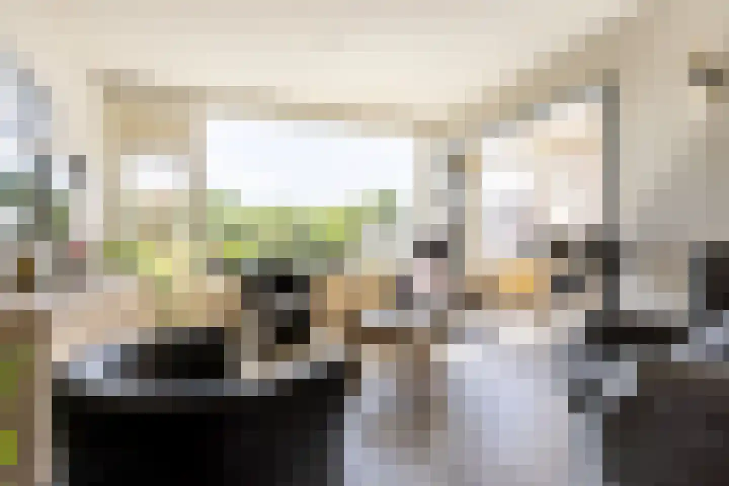 Engelandlaan 960 Haarlem thumbnail 8