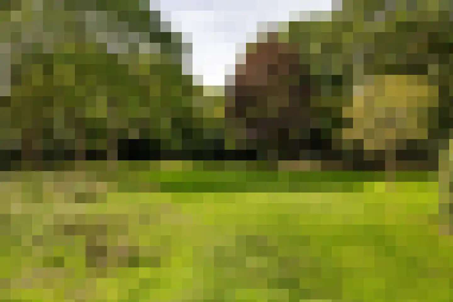 Engelandlaan 964 Haarlem thumbnail 22
