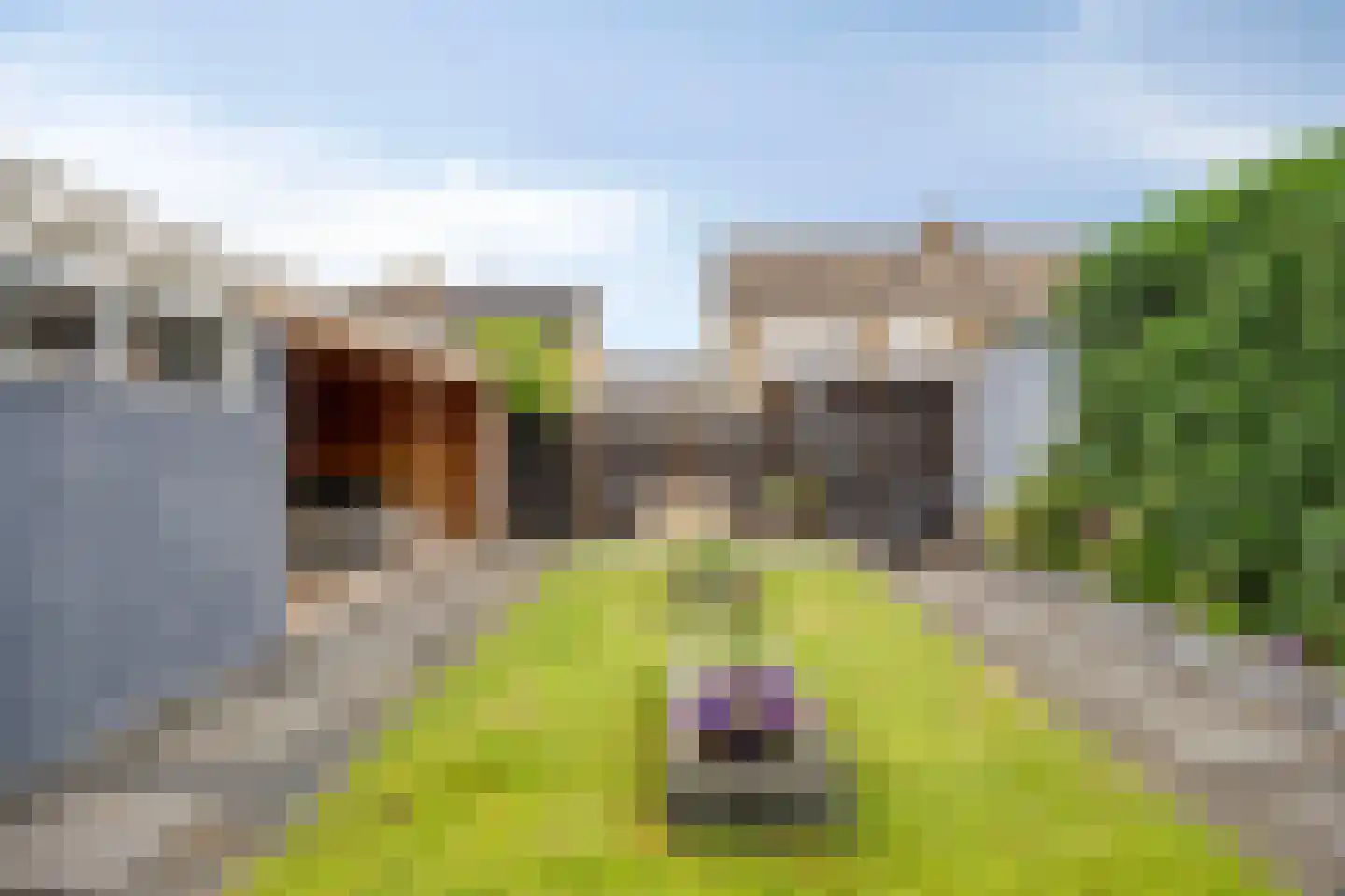 Engelandstraat 15 A Coevorden thumbnail 33