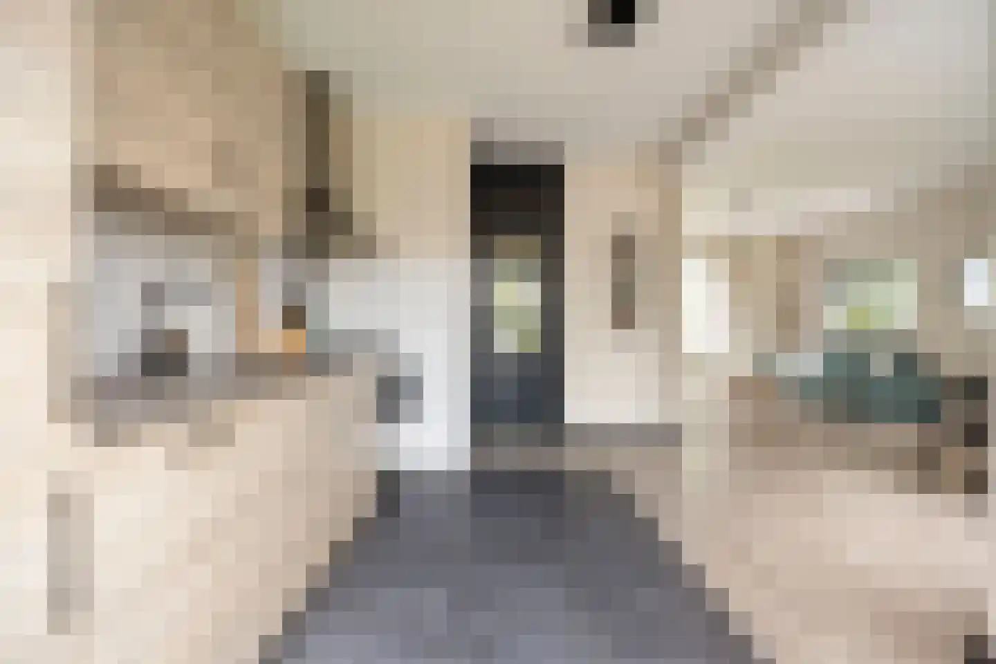 Engelandstraat 15 A Coevorden thumbnail 4