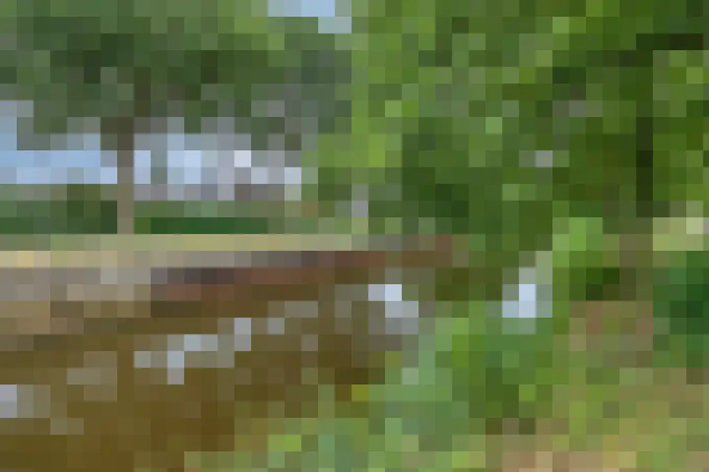 Engelandstraat 15 A Coevorden thumbnail 42
