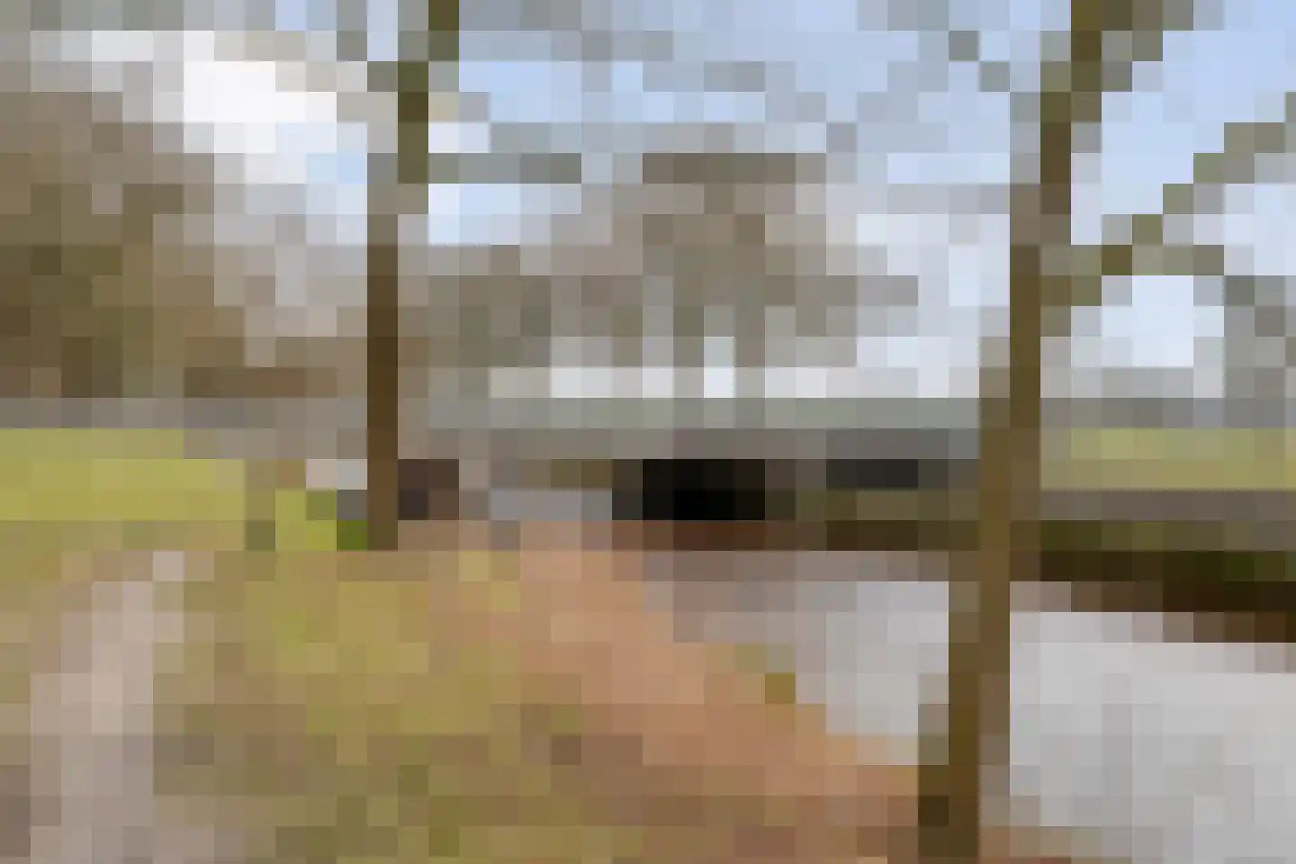 Engelandstraat 15 A Coevorden thumbnail 52