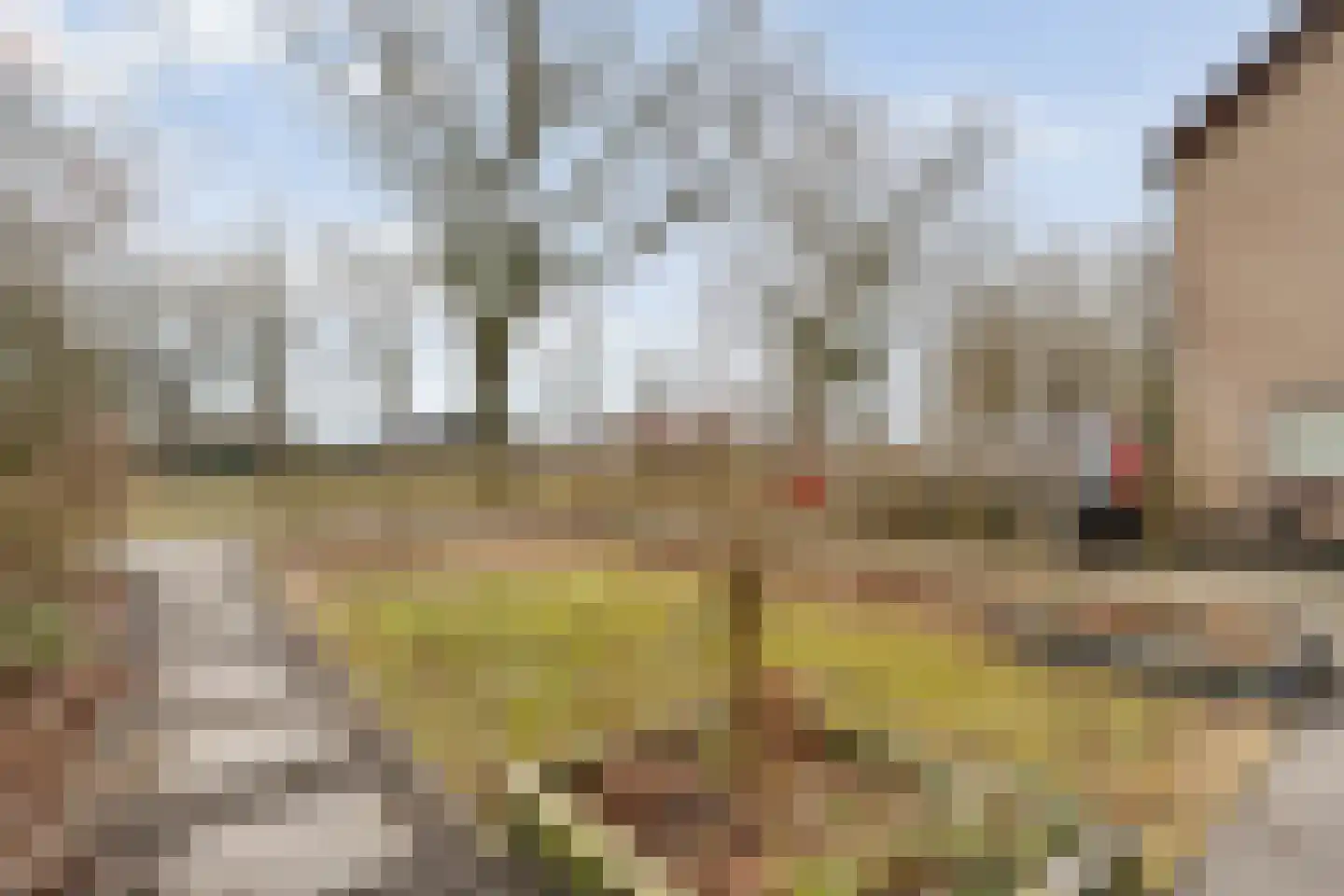 Engelandstraat 15 A Coevorden thumbnail 8