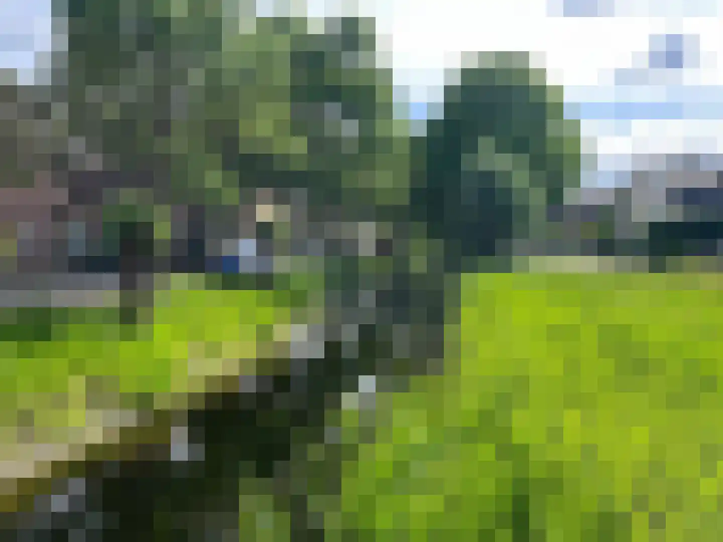 Engelandstraat 15 Rosmalen thumbnail 32