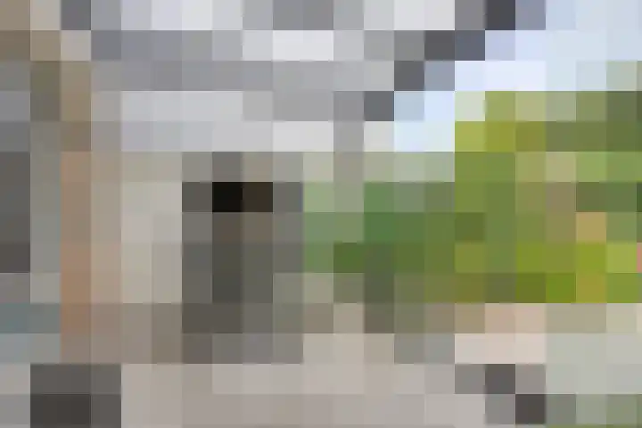 Engelandstraat 3 Rosmalen thumbnail 24
