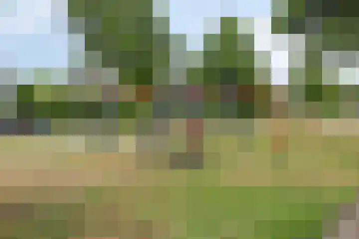 Engelandstraat 3 Rosmalen thumbnail 32