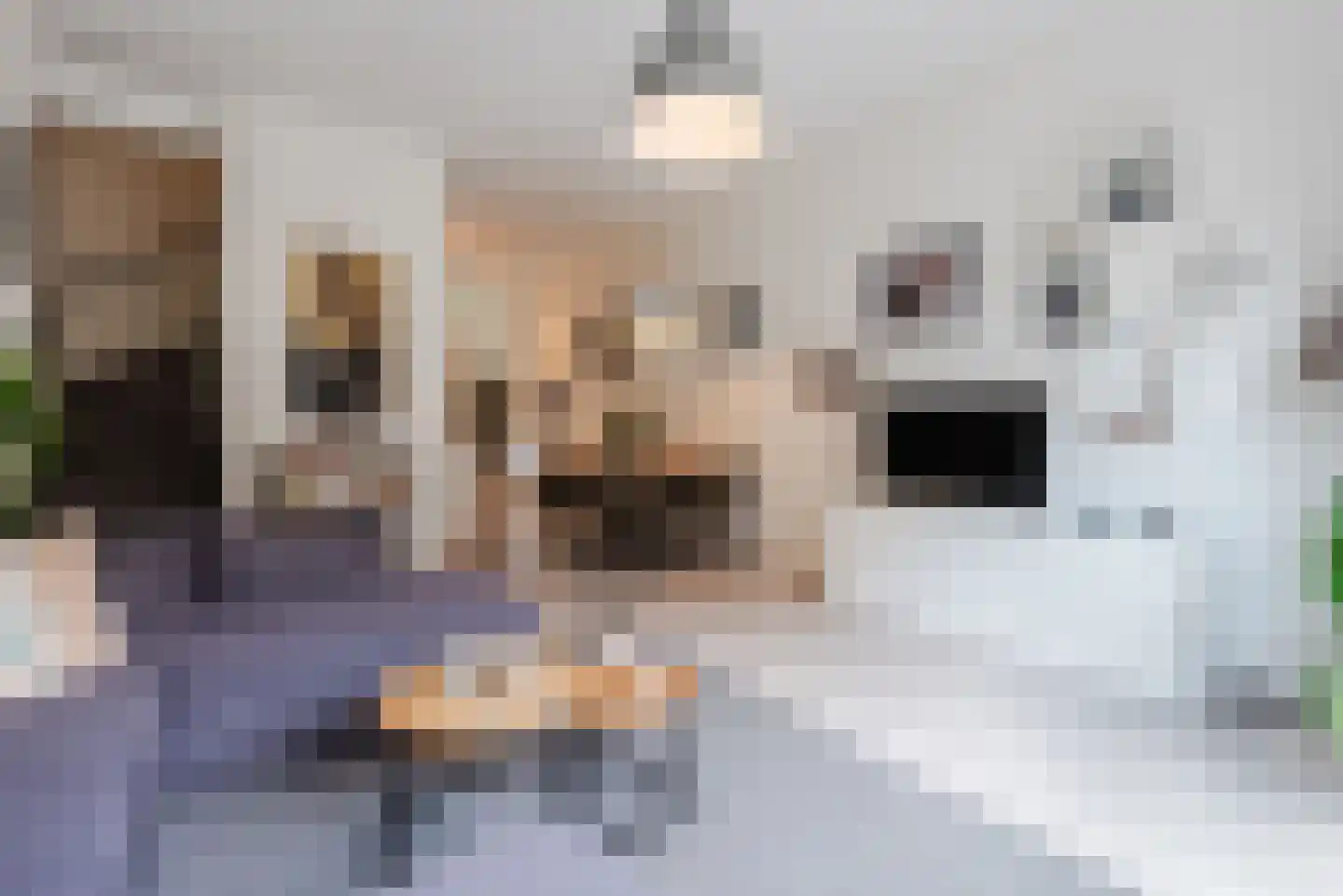 Engelandstraat 31 Almere thumbnail 10