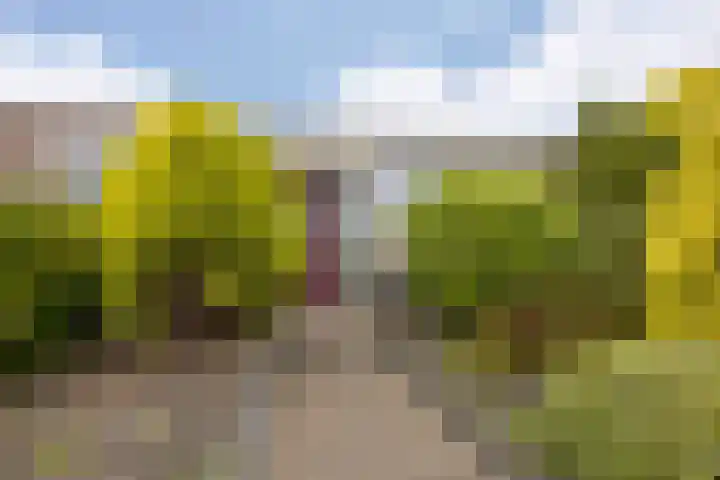 Engelandstraat 36 Heemskerk thumbnail 4