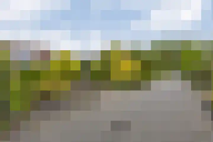 Engelandstraat 36 Heemskerk thumbnail 6