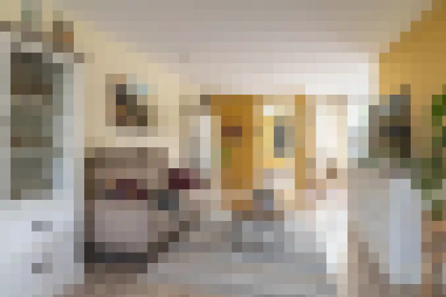 Engelandstraat 42 Heemskerk thumbnail 6