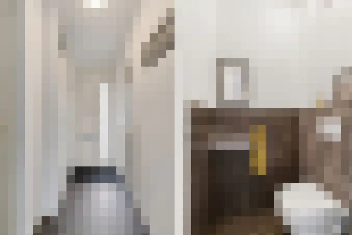 Engelandstraat 5 Alphen aan den Rijn thumbnail 14