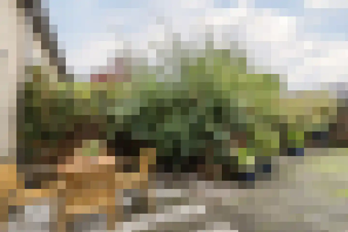 Engelandstraat 5 Alphen aan den Rijn thumbnail 5