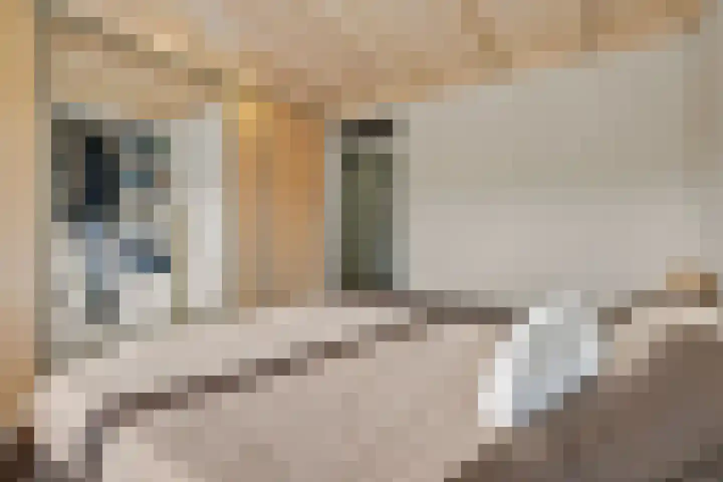 Engelandstraat 6 Rosmalen thumbnail 20