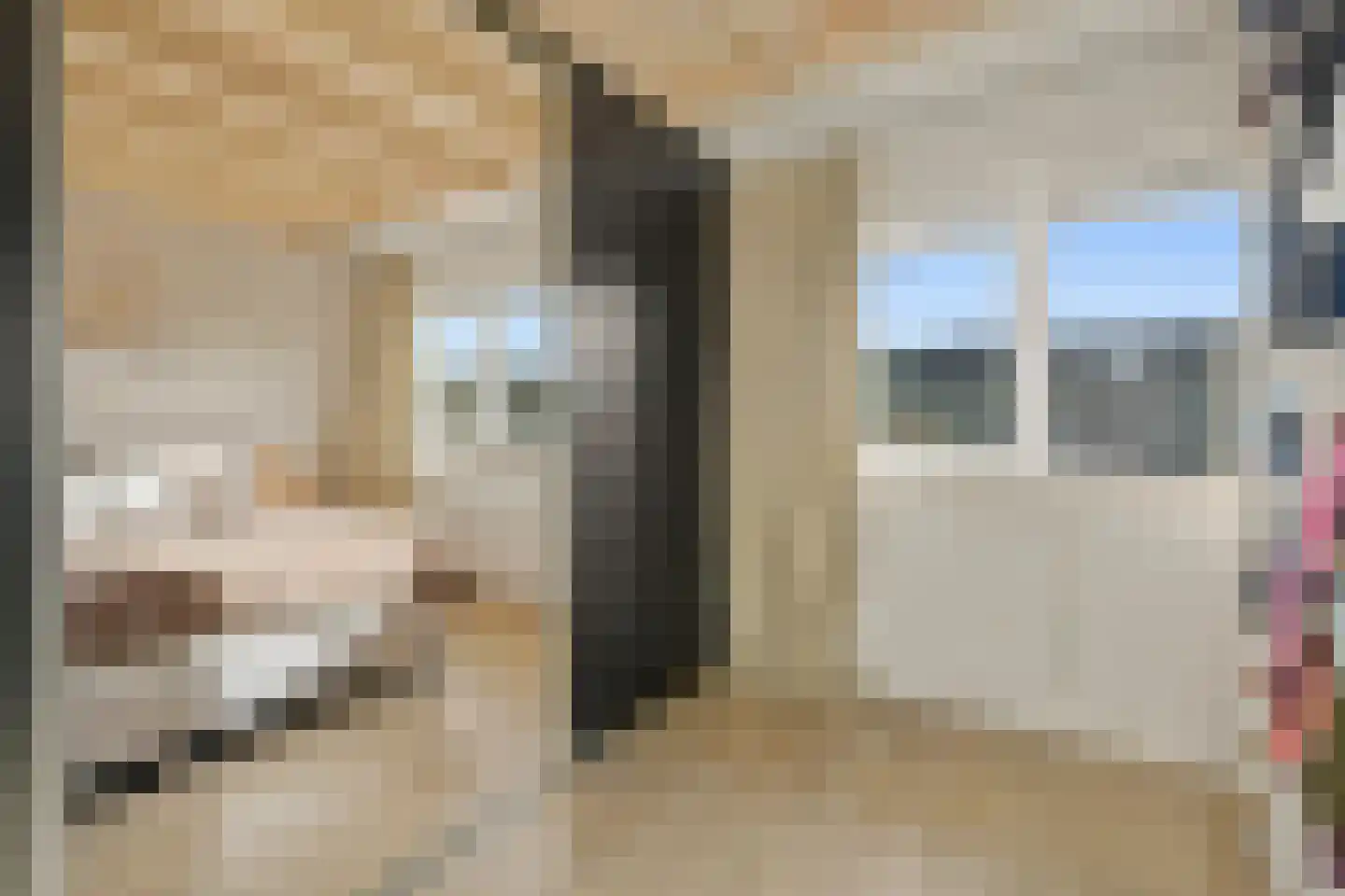 Engelandstraat 6 Rosmalen thumbnail 22