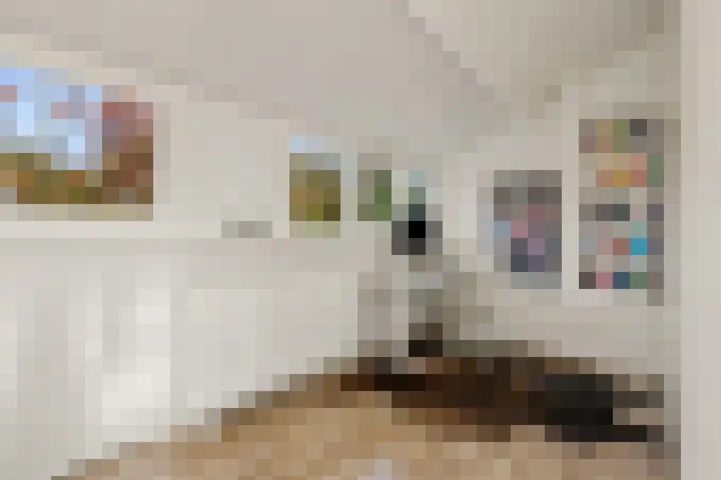 Engelandstraat 6 Rosmalen thumbnail 30