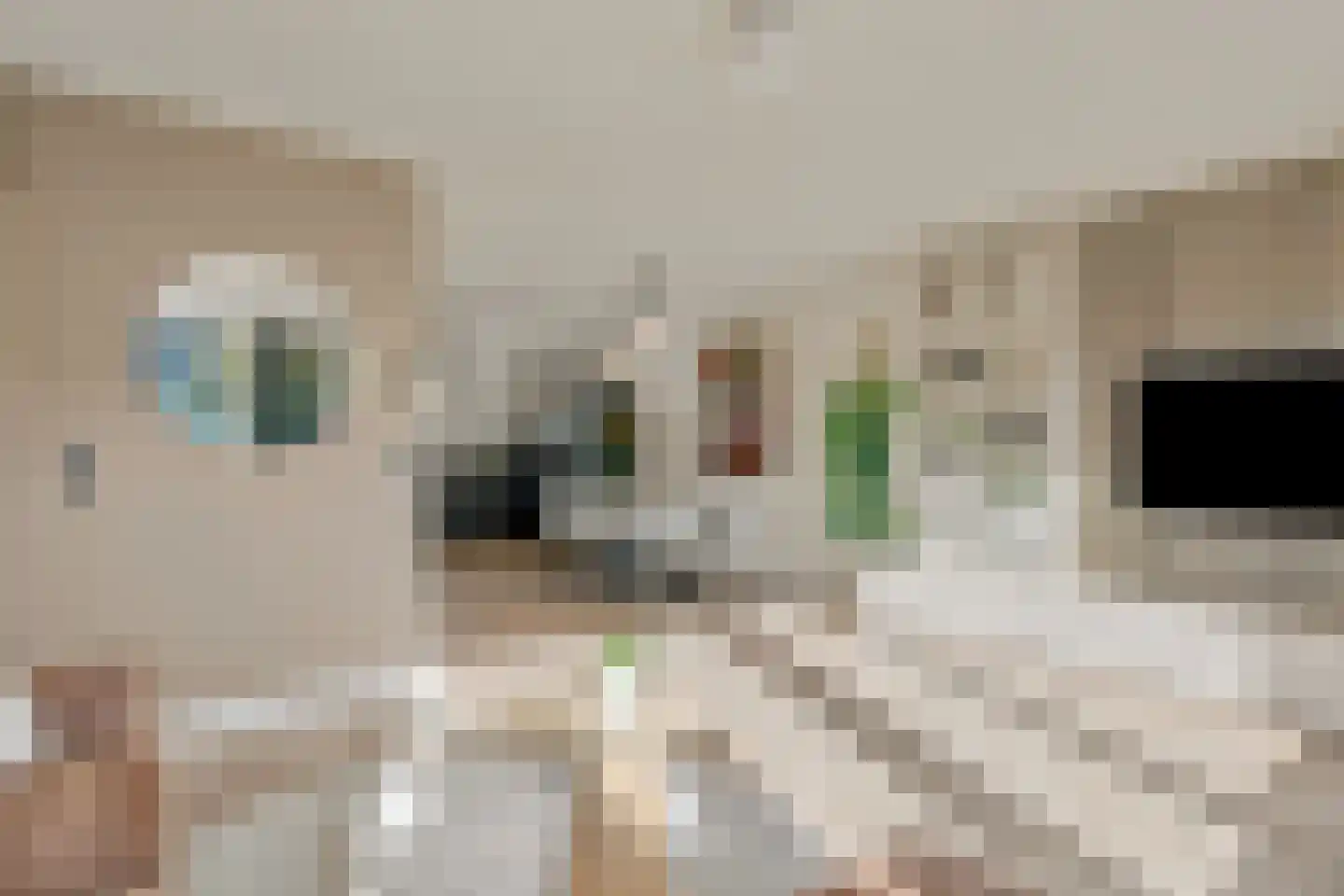 Engelandstraat 6 Rosmalen thumbnail 8