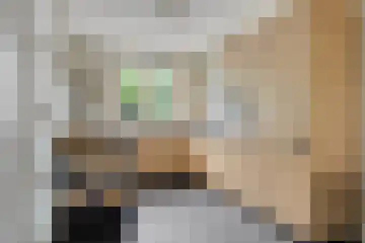 Engelbeemd 37 Herpen thumbnail 11