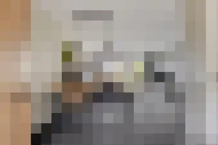 Engelbeemd 37 Herpen thumbnail 13