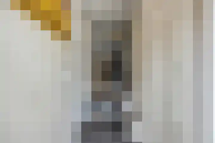 Engelbeemd 37 Herpen thumbnail 15