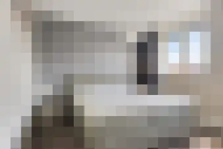 Engelbeemd 37 Herpen thumbnail 17