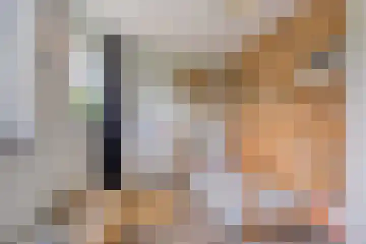 Engelbeemd 37 Herpen thumbnail 18