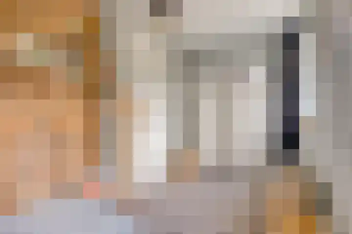 Engelbeemd 37 Herpen thumbnail 19