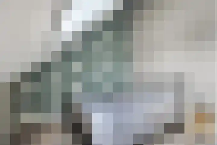 Engelbeemd 37 Herpen thumbnail 27