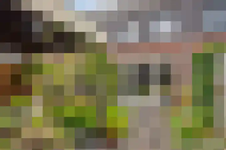 Engelbeemd 37 Herpen thumbnail 28