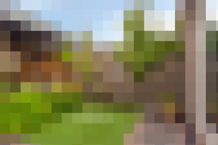 Engelbeemd 37 Herpen thumbnail 29