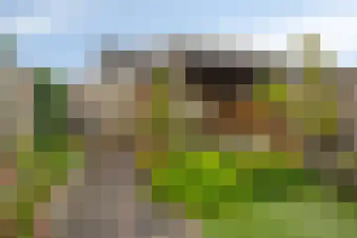Engelbeemd 37 Herpen thumbnail 30