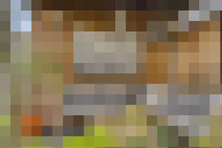 Engelbeemd 37 Herpen thumbnail 31
