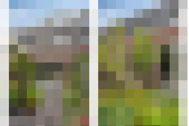 Engelbeemd 37 Herpen thumbnail 32