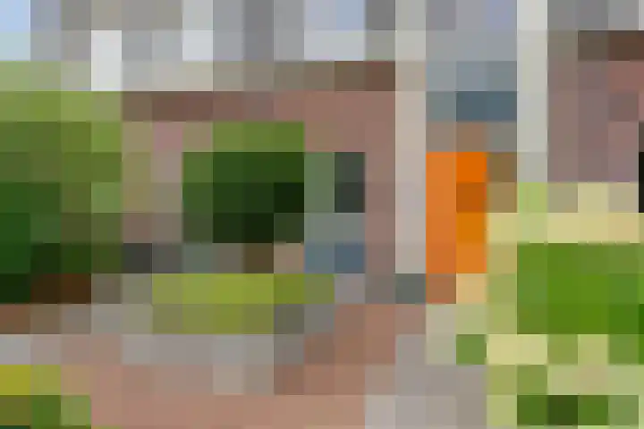 Engelbeemd 37 Herpen thumbnail 36