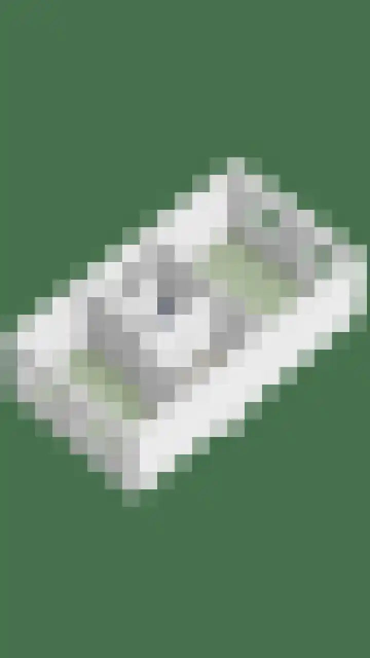 Engelbeemd 37 Herpen thumbnail 44