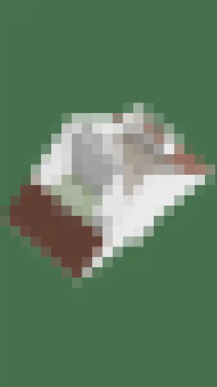 Engelbeemd 37 Herpen thumbnail 46